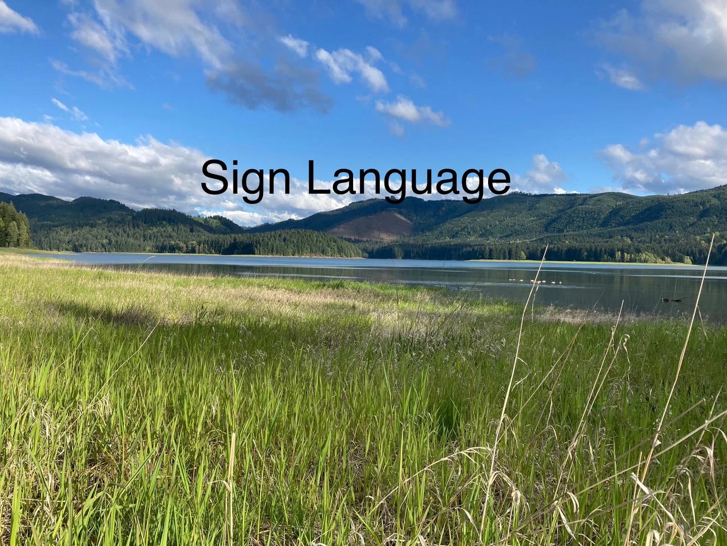ASL plantID profile banner