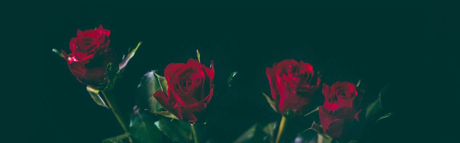 Scarlette Edge profile banner