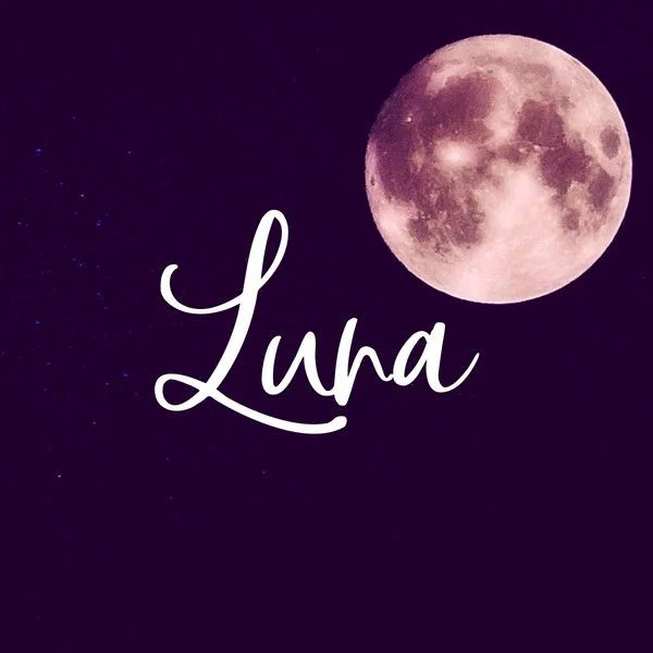 LUNA🌙 profile banner