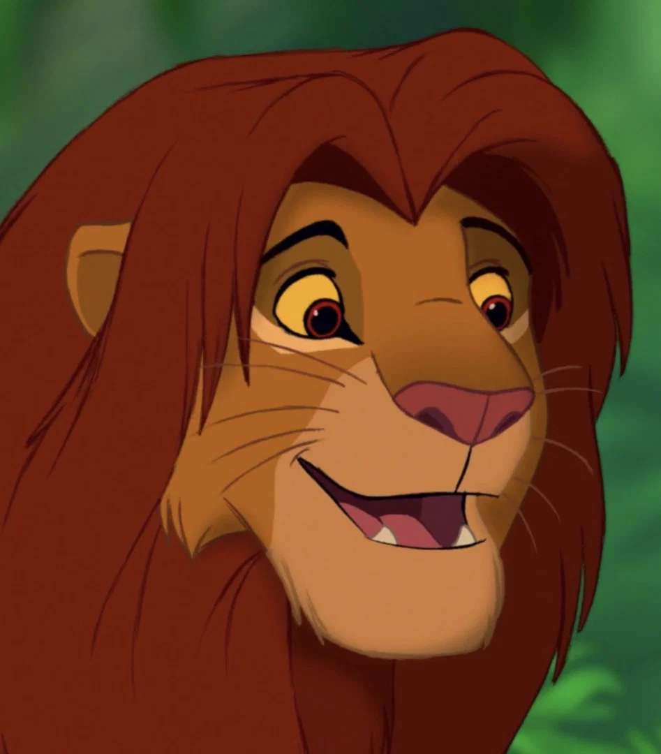 simba profile banner