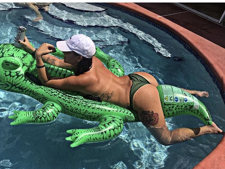 Alligator profile banner