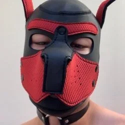 Kevin V.'s avatar