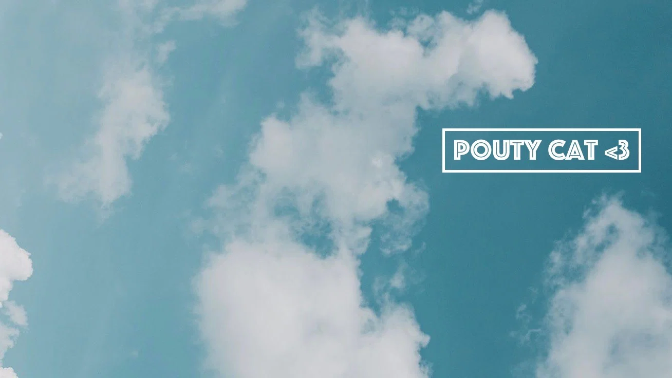 PoutyCat profile banner