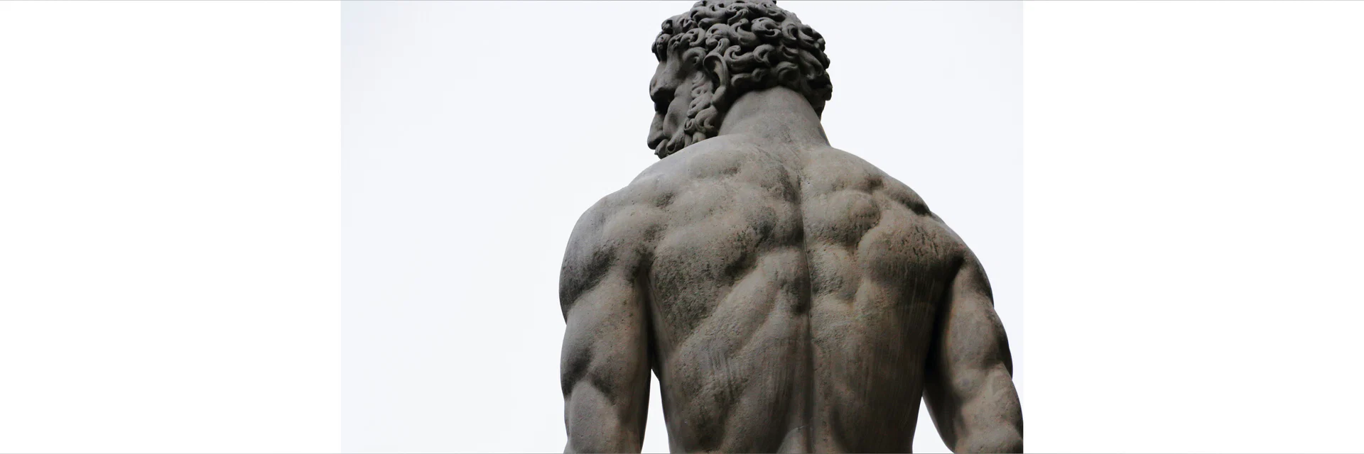 Vital Flesh (FREE) profile banner