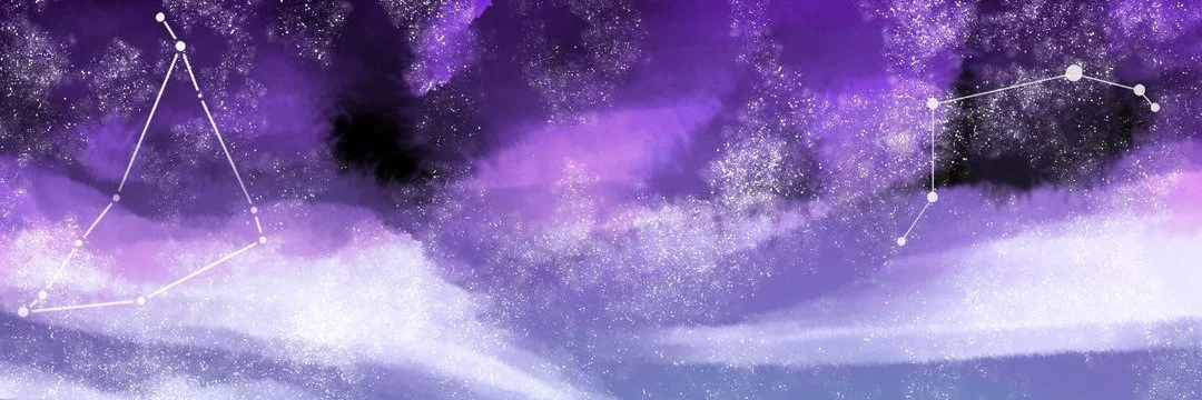 ChonkyRaven profile banner