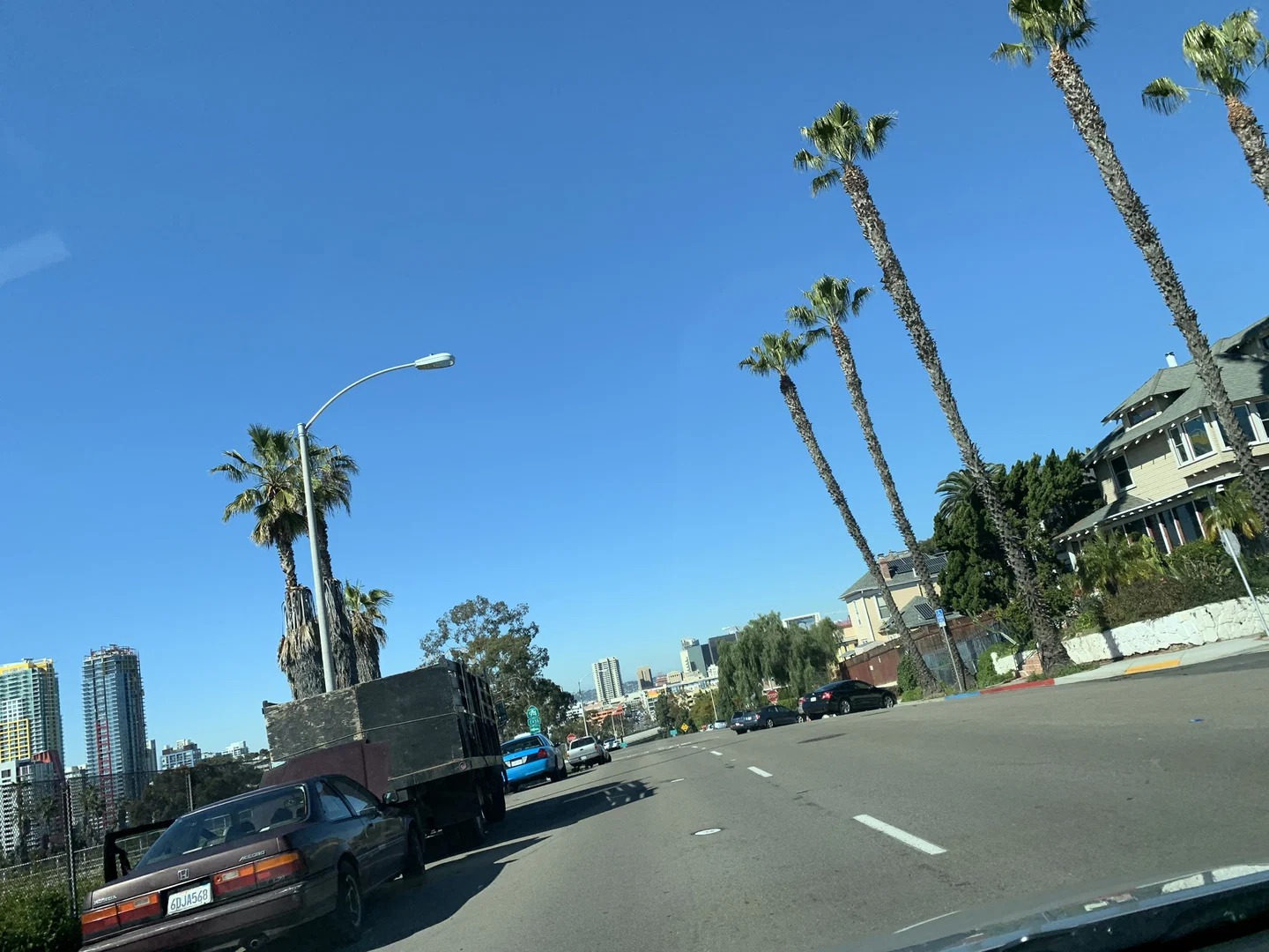 Thick Zilla profile banner