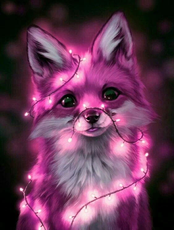 Vixen Foxx profile banner