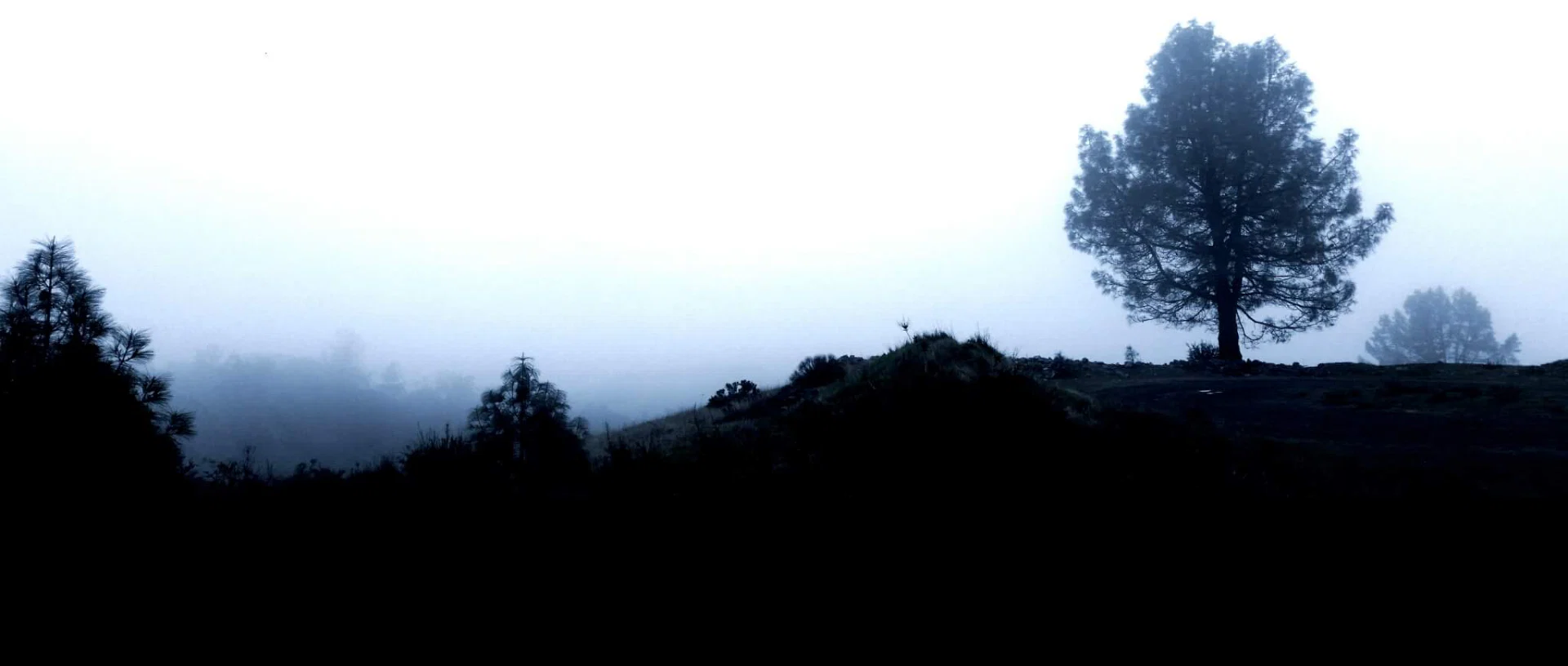 Jayjayjayx profile banner