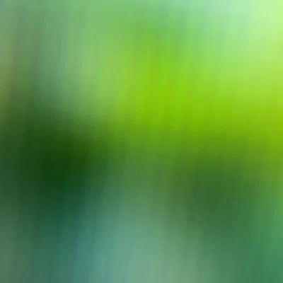 harvey profile banner