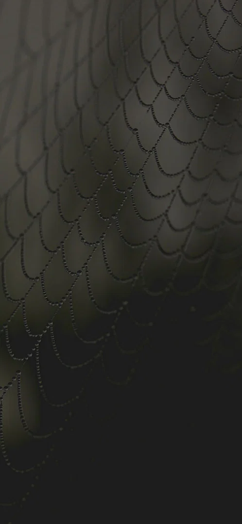 Mercy Nixx profile banner