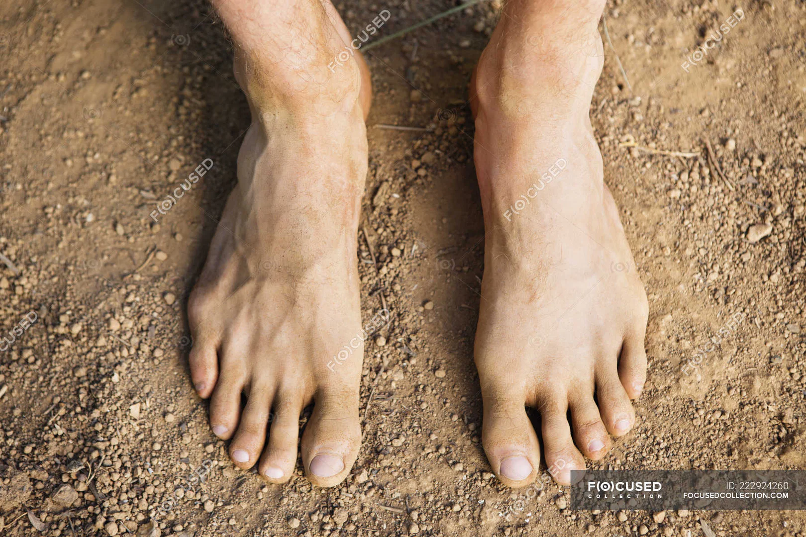 Daddies feet profile banner