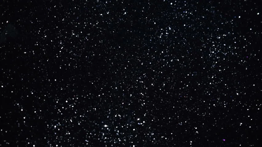 PlusSizedShawty profile banner