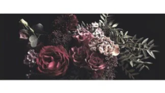 The Girl next door profile banner
