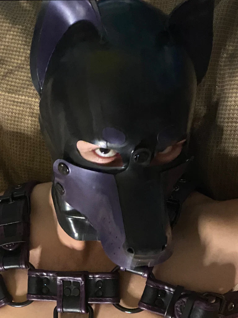 Royce's avatar