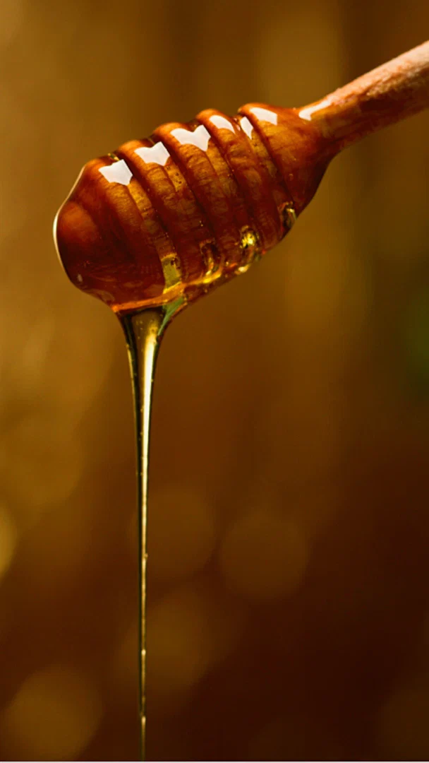 Honey profile banner