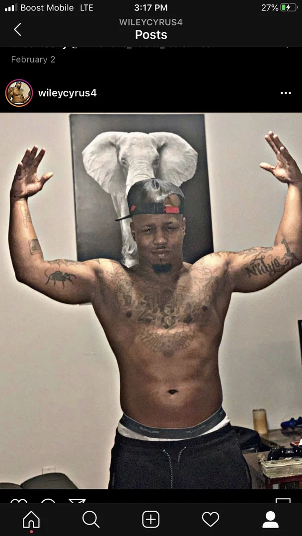 BigWiley profile banner