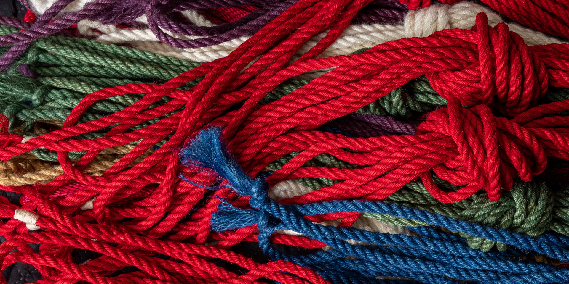Texas Shibari profile banner
