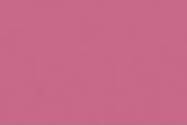 💞 profile banner