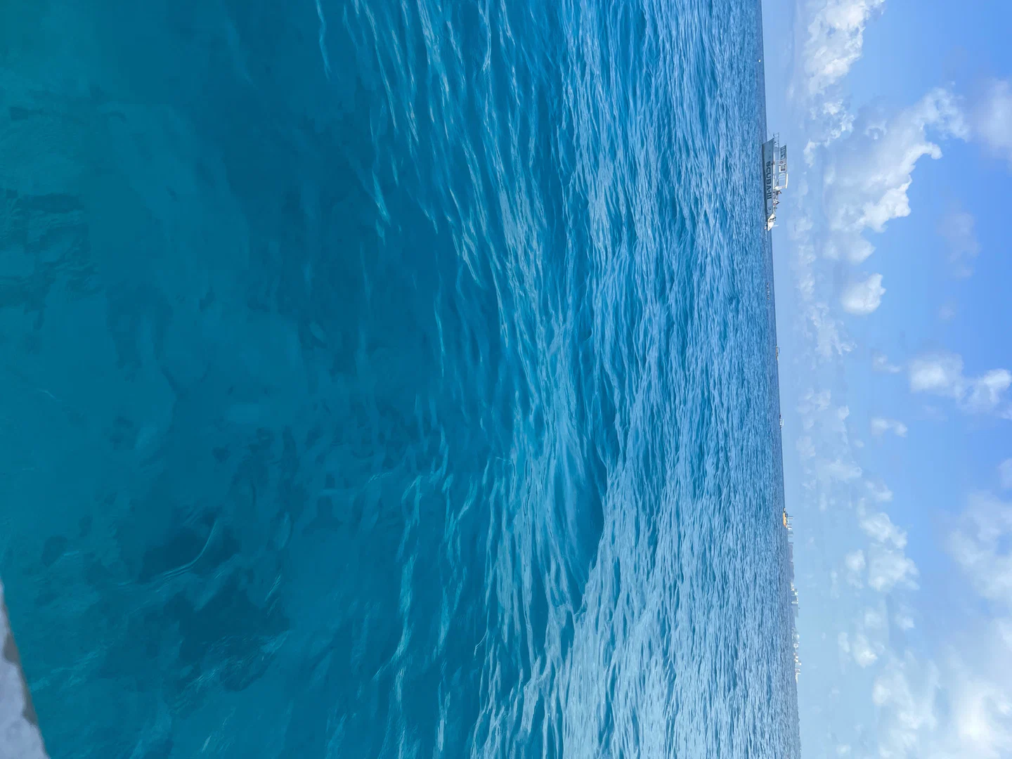 Toes π€ profile banner