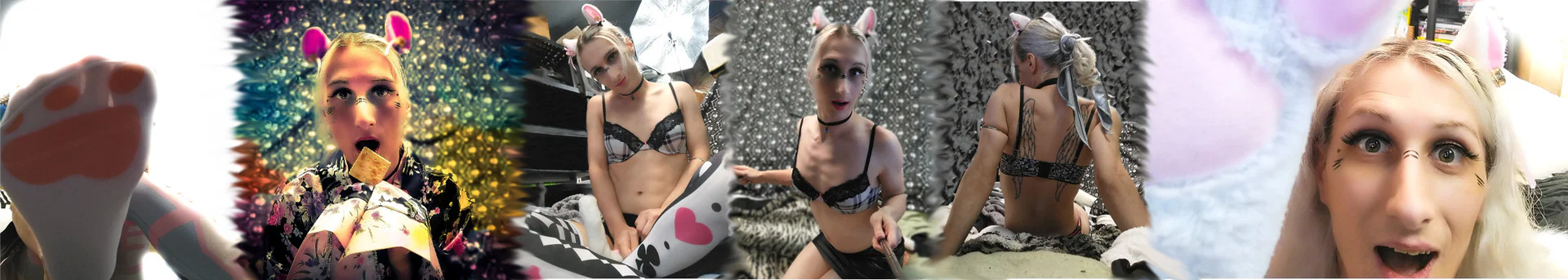 Watermelon Kitten profile banner