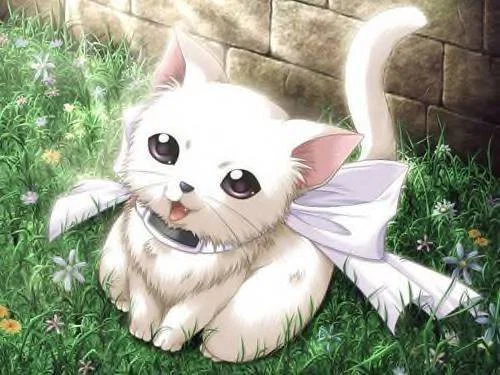 Kitty π±πΈ profile banner