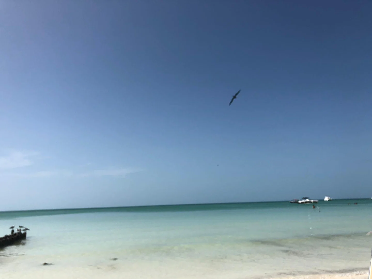 Camicami profile banner