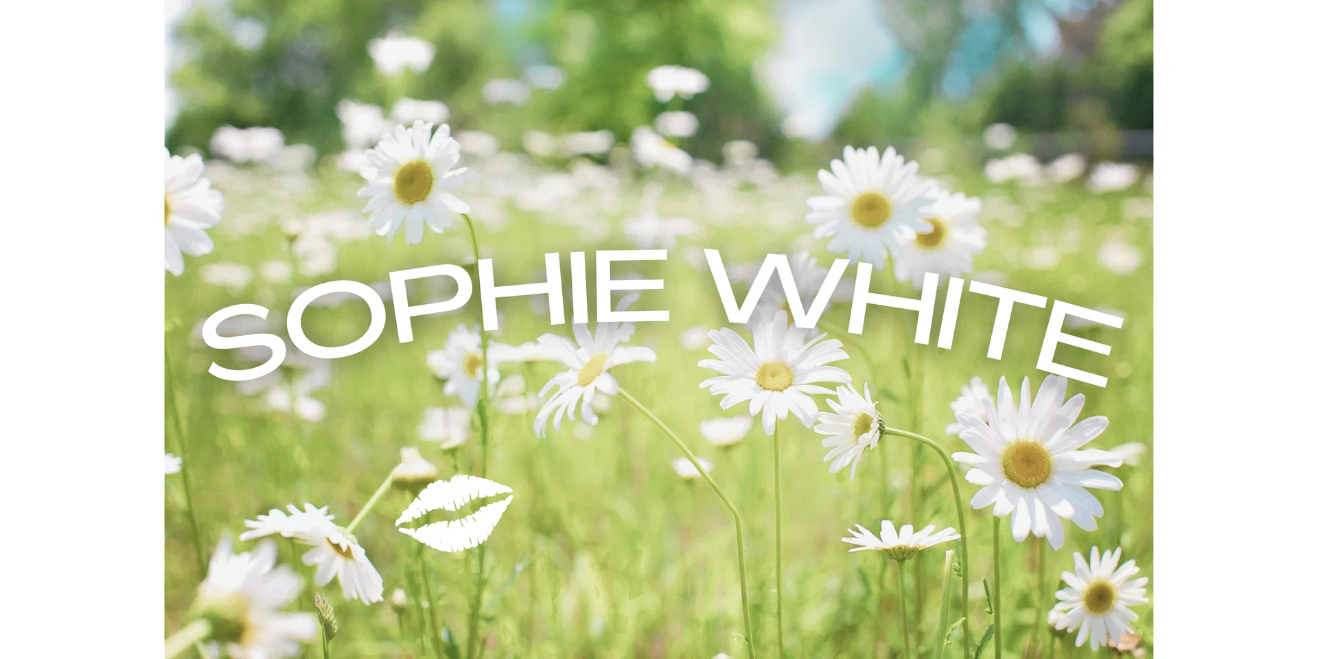 Sophie White profile banner