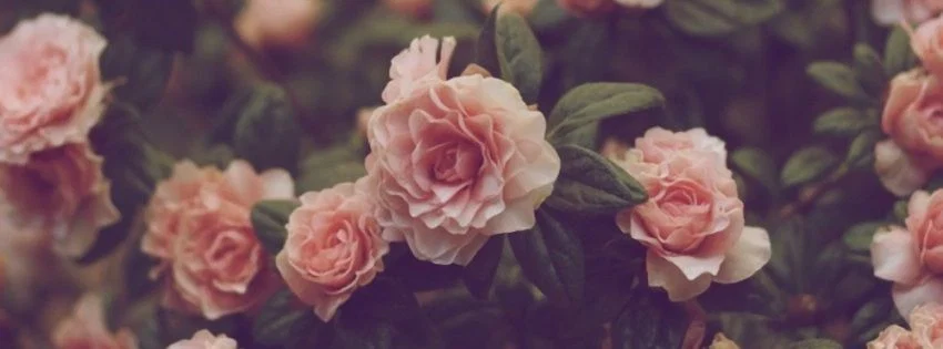 Sad_Silly profile banner