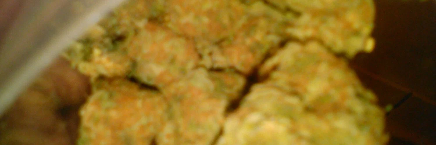 π±π°π profile banner