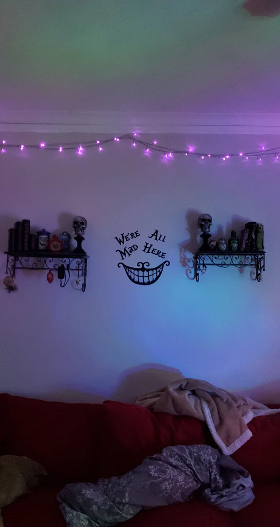 Lovely Remains profile banner