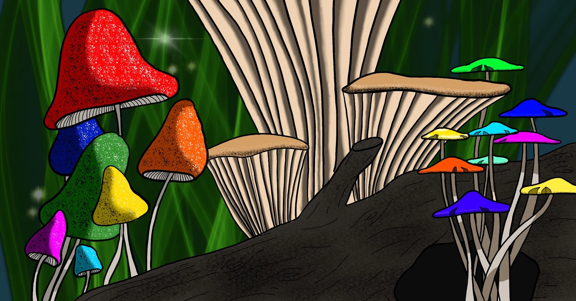 Kayla Ann profile banner