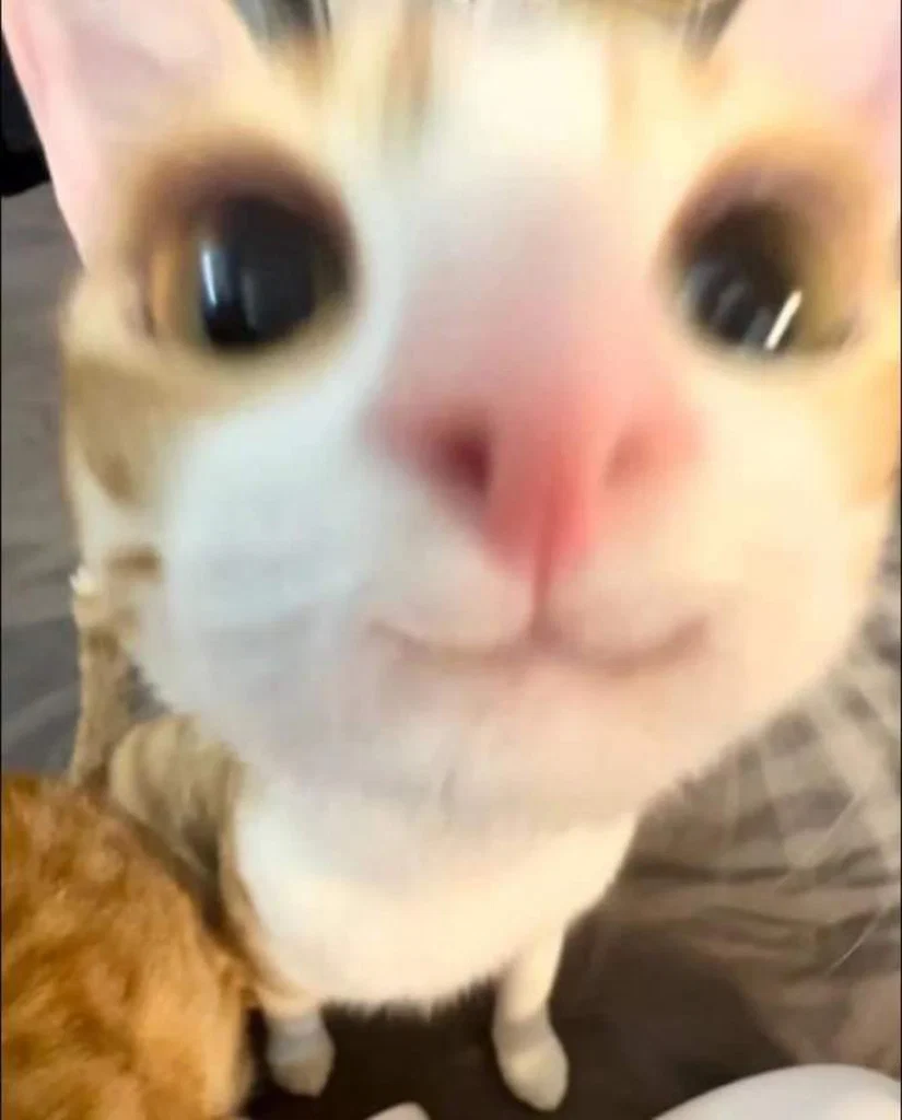 Andy