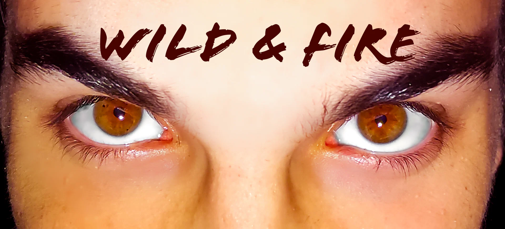 Wild Fire profile banner