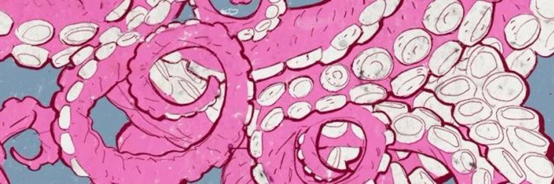 Nova Locke profile banner