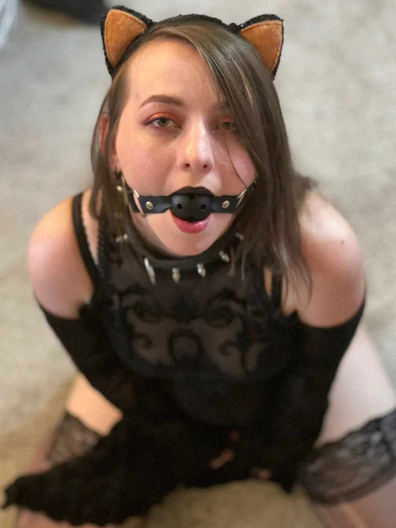 Bondage Kitty profile banner