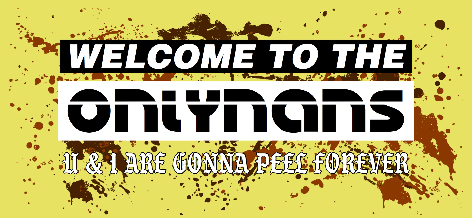 OnlyNans profile banner