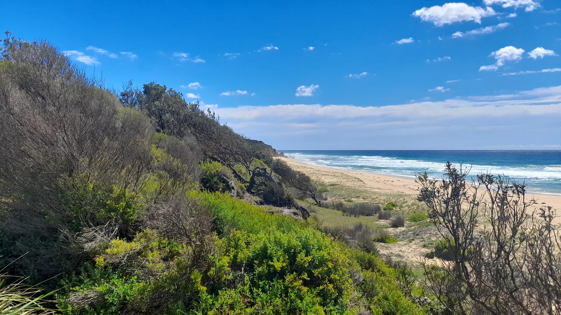 bushnbeach profile banner