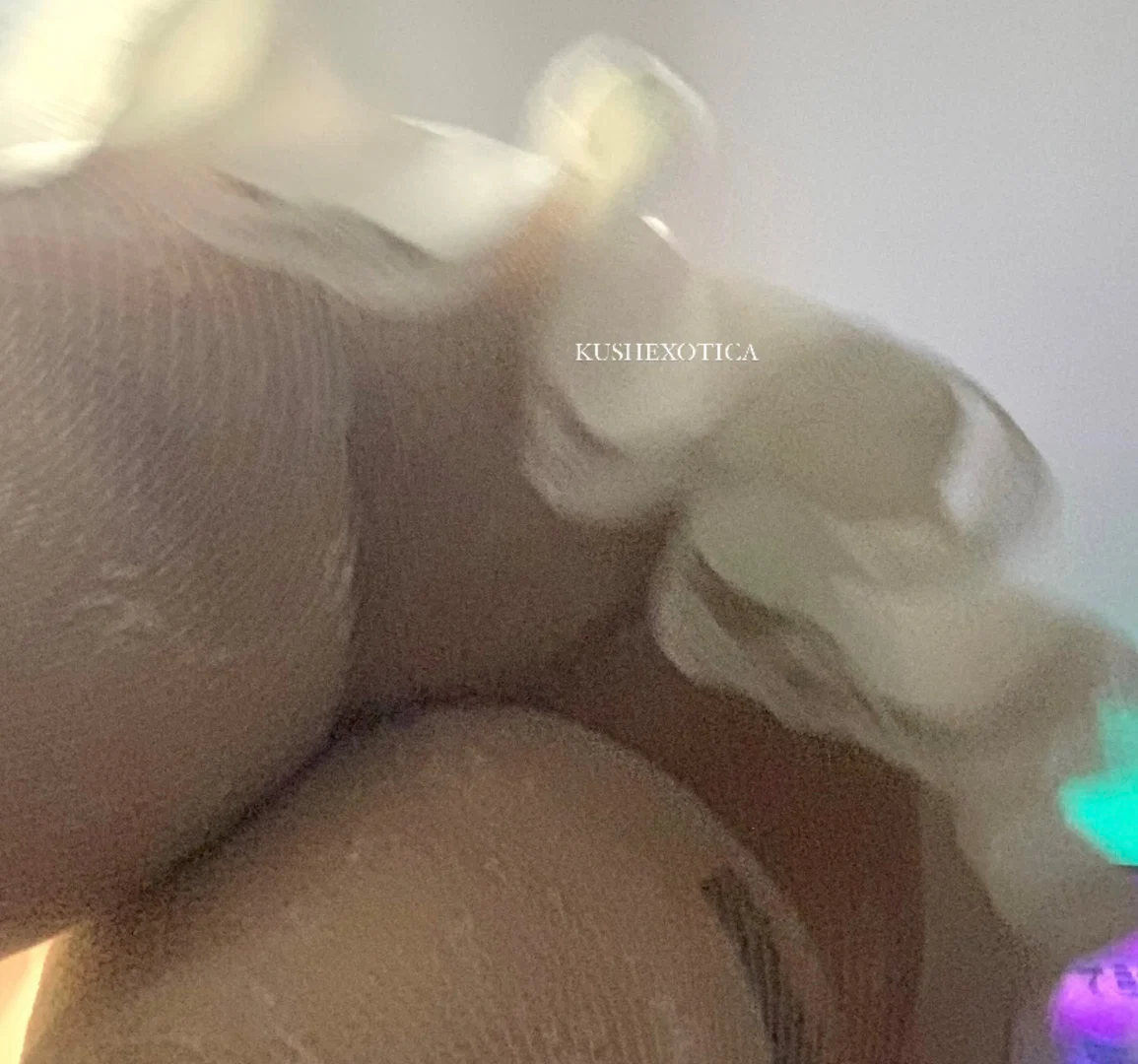 Kush Exotica profile banner