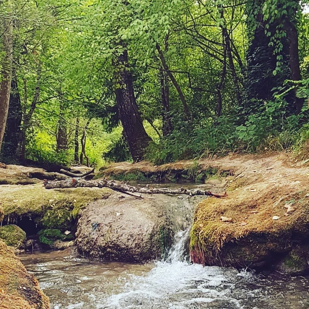 Tommy profile banner