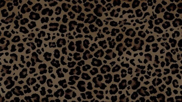 Rain βοΈπ€ VIP PAGE π€βοΈ profile banner