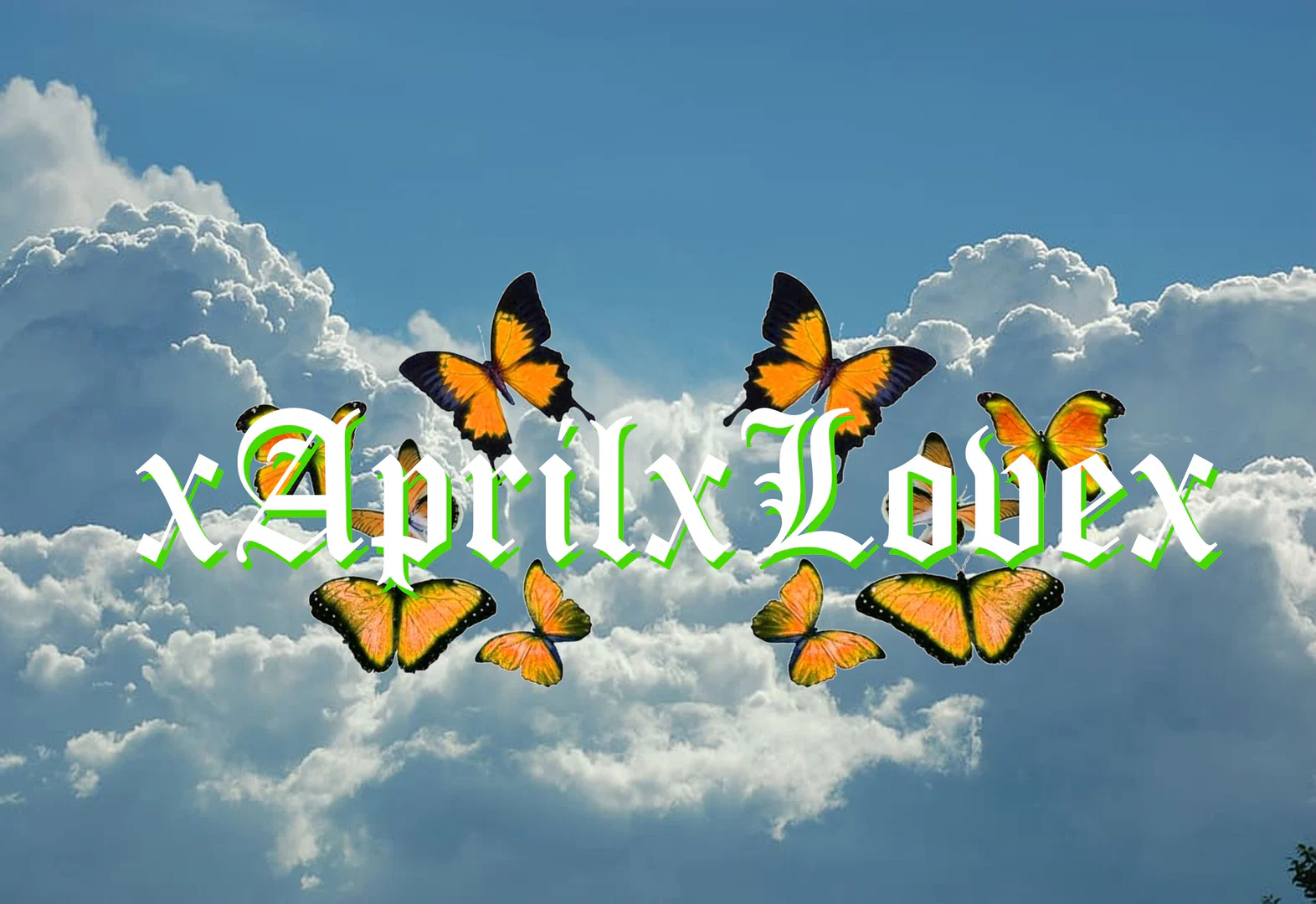 April Love profile banner
