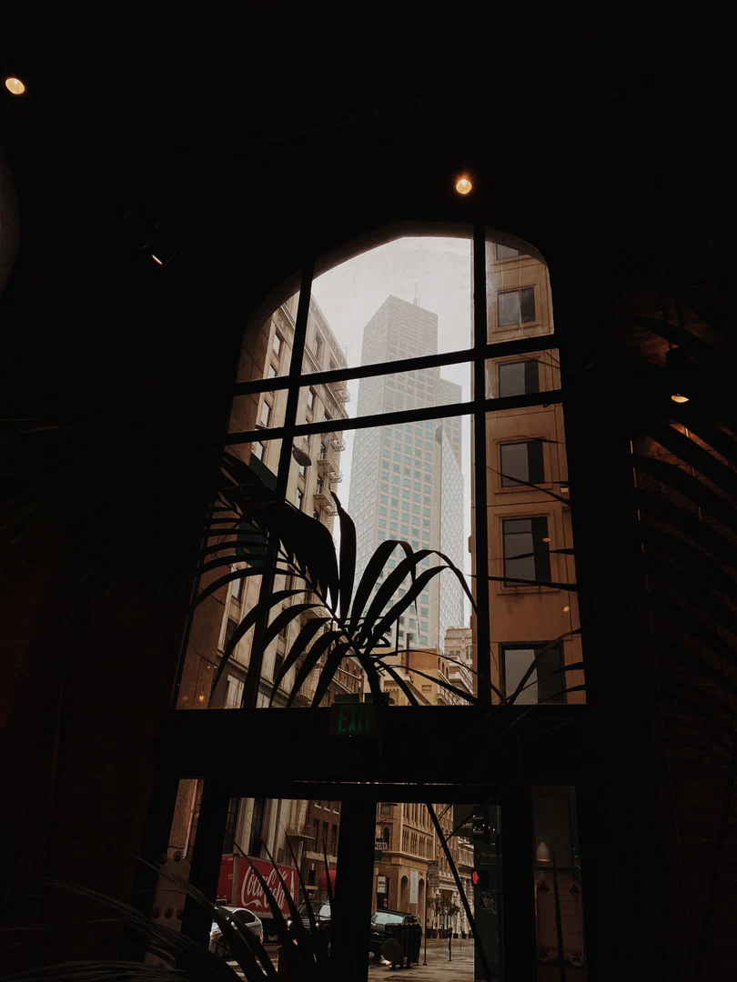 Tlee profile banner
