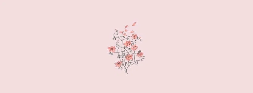 honeyblossoms profile banner