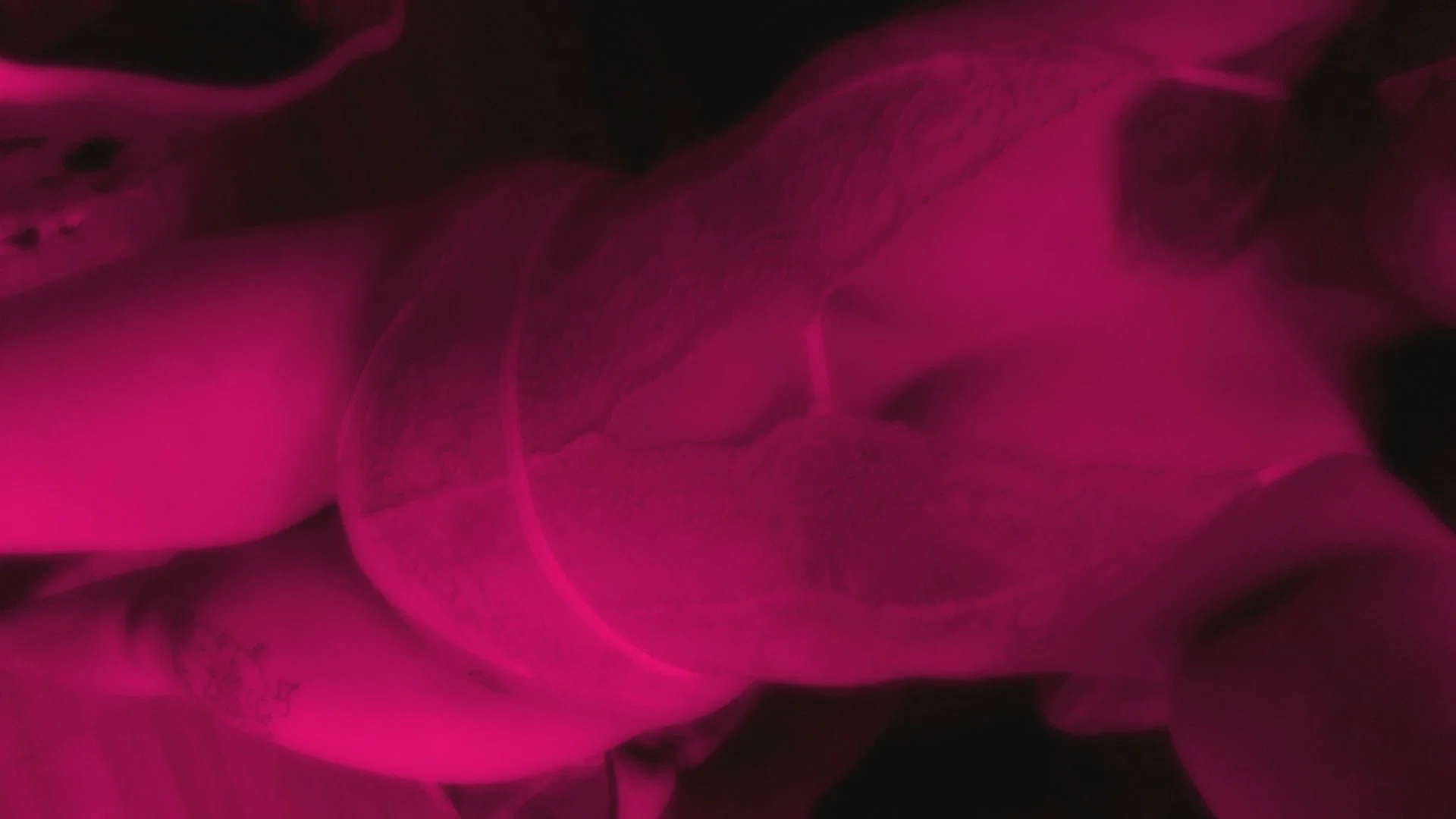 cyberkitten profile banner