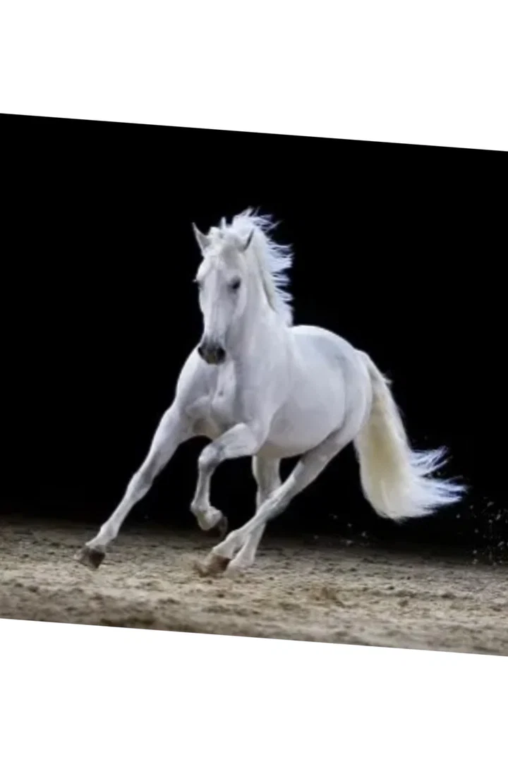 Clara Rider profile banner