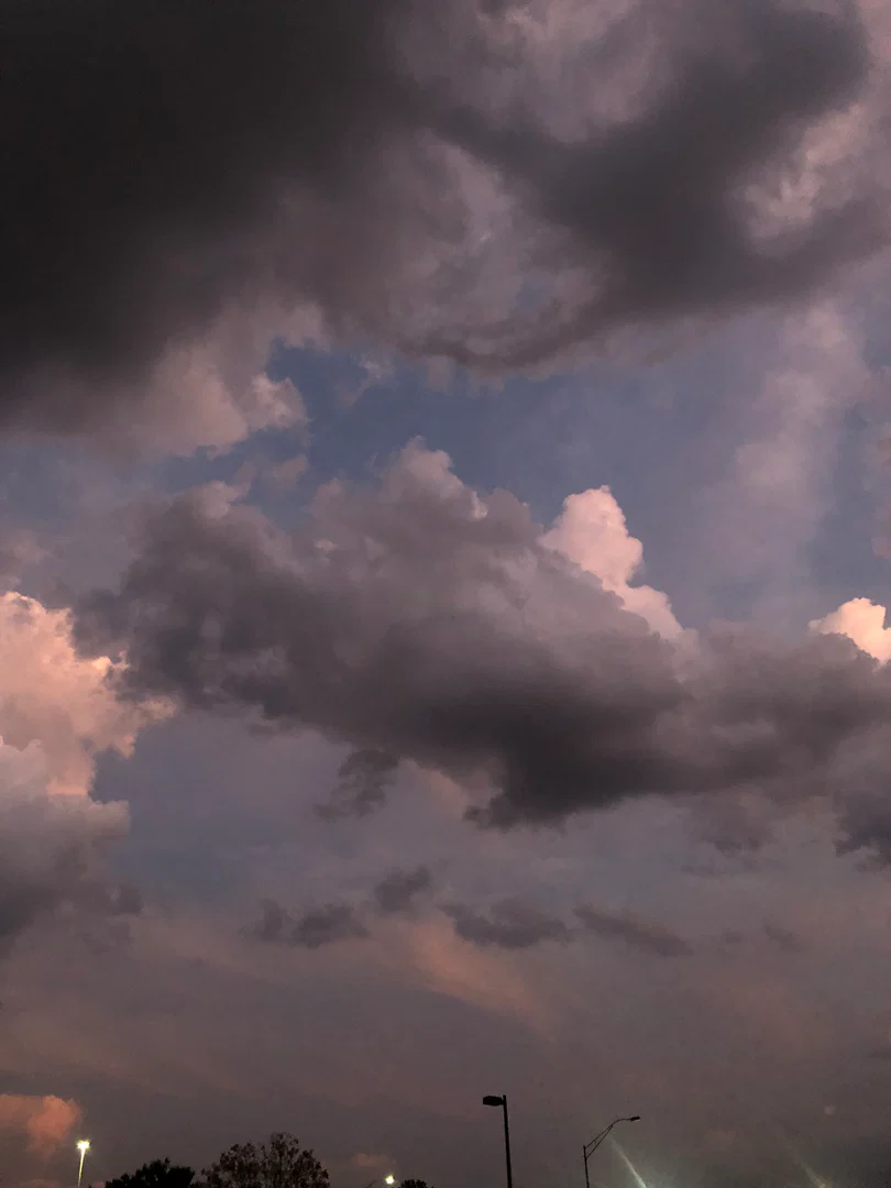u12198118 profile banner