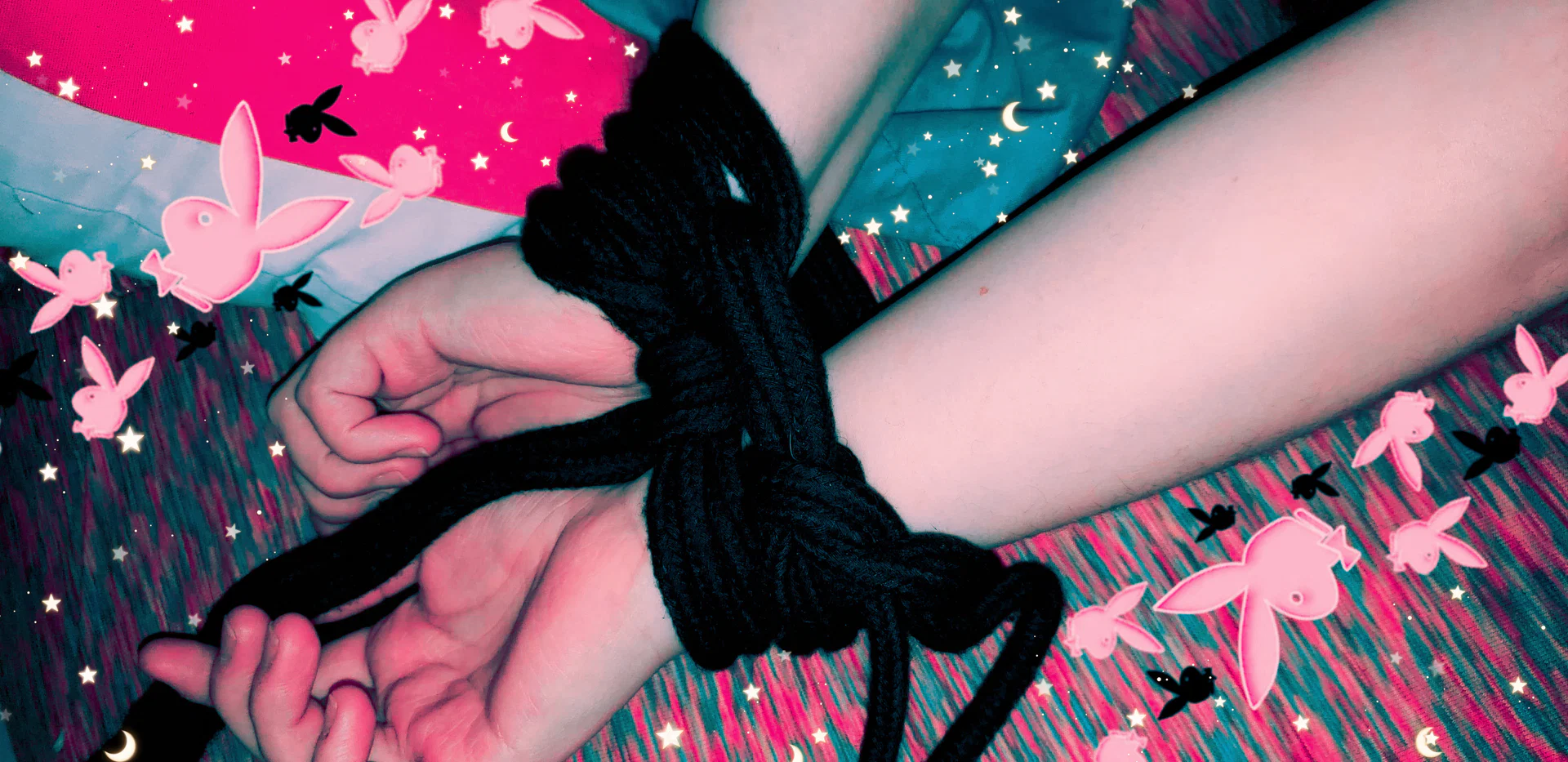 Alana profile banner