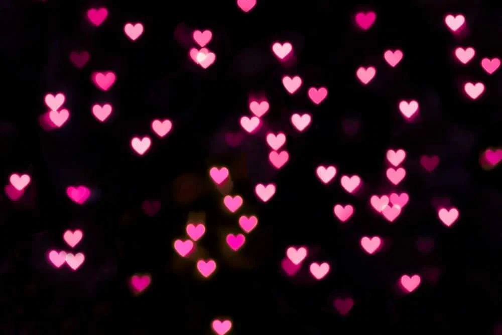 Bella profile banner