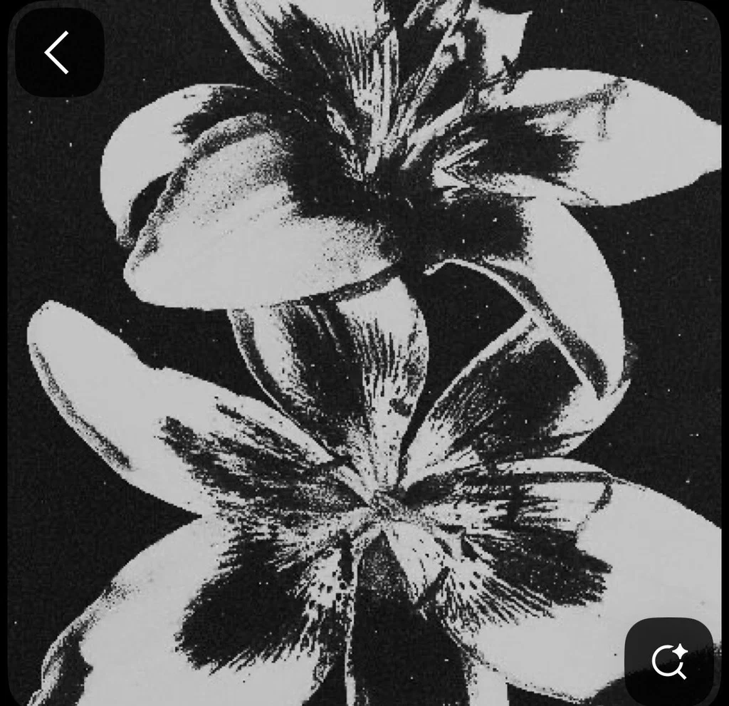 Ivy's avatar