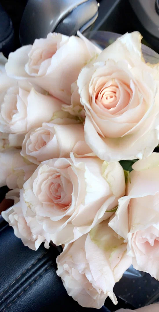 Princess♡ profile banner